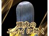 学生カット + シャンプー + 毛穴そうじ