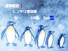 夏季限定　ひんやり爽快　クールスパ