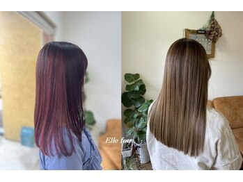 Elle fou【エルフゥ】