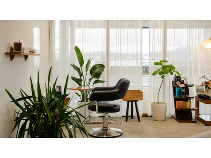 カフネ(CAFUNE)の写真