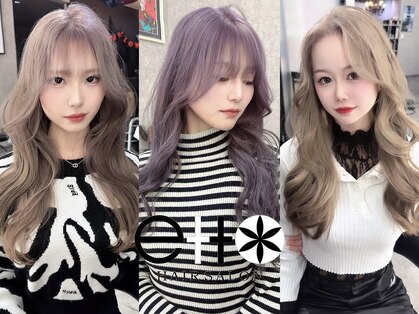 アクタノイドエット(acta noid etto)の写真