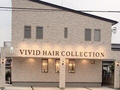 VIVID HAIR COLLECTION【ビビッドヘアーコレクション】