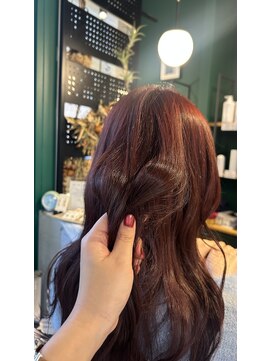 ビオトープアトラ(Bio-Top atora) ボルドーカラー/暖色カラー/韓国巻き