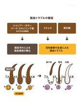 ホリステックメニューは白髪、細毛が気になり始めた方には特にオススメなんです。