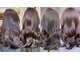 ブルーム ヘア デザイン(bloom hair design)の写真
