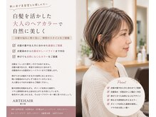 白髪染め・白髪ぼかし｜白髪を活かした大人のヘアカラー【新小岩駅/ インナー/ハイライト/ヘッドスパ】