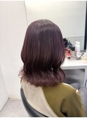 カシスラベンダー【町田】