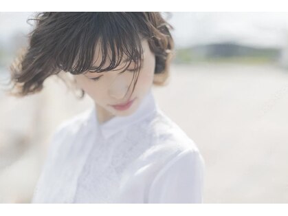 アタッシェ(Attache)の写真