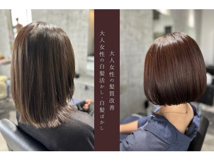 フーシャ(Fuchsia)の写真