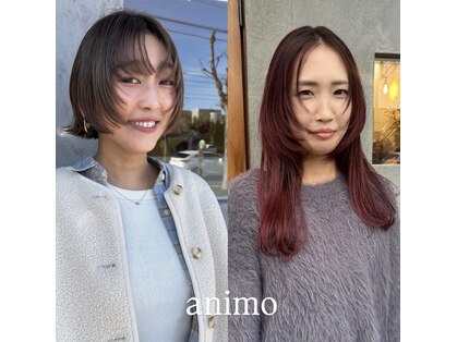 アニモ(animo)の写真