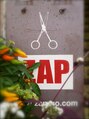 ザップ(ZAP) ZAP