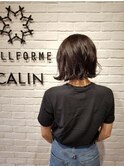 エドル　艶感ブラウン