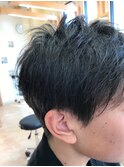 優しげな ツーセクションショート   (サロンスタイル)