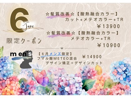 メロウ(Mellow)の写真