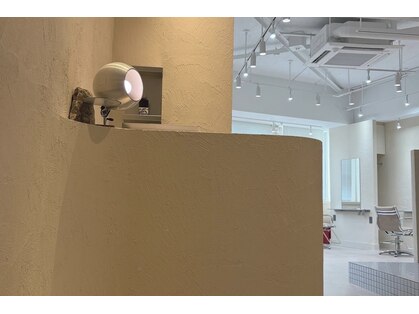 パドマ(Padma)の写真