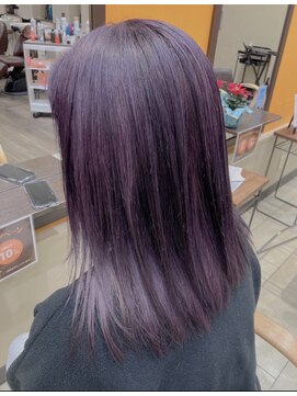 ヴァンカウンシル Kuwana(VAN COUNCIL) ディープパープル