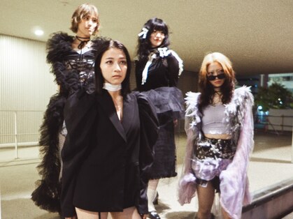 シカ(sica)の写真