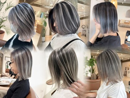 ラウレア(LAULEA)の写真