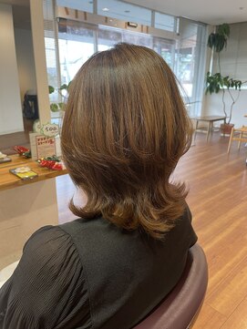 ミナ Hair design mina ヘアデザイン 艶髪ハリコシカラーコース
