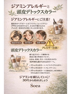 ソイア 春日井店(Soea) 脱白髪染めブリーチ