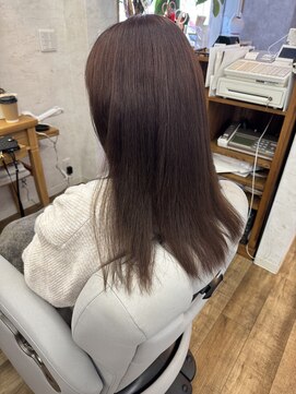 ガーベラ(gerbera) ミディアムレイヤー