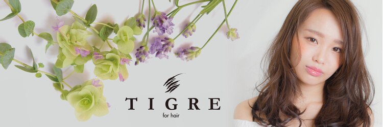 ティグルフォーヘア(TIGRE for hair)のサロンヘッダー