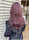 ピンクラベンダー