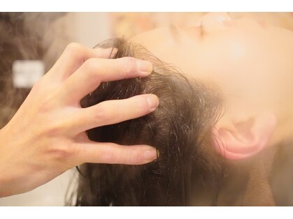 エスエスダブリュー(SSW)の写真