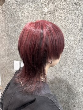 ベジータ(VEGETA) *red black×ウルフ*
