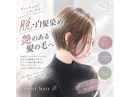 クール(coeur)の写真