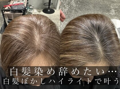 ハーシーバイアポロ 相模大野(HERSHE by apollo)の写真