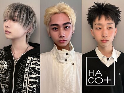 ハコ プラス(HACO+)の写真