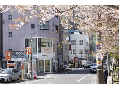 四季も感じれる冷泉公園の桜♪。（*´▽`*）