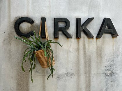 シルカ(CIRKA)の写真