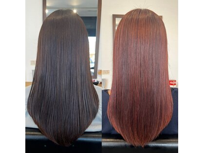 ブルーム(BLOOM)の写真