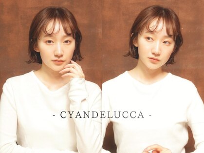シアンデルカ(CYANDELUCCA)の写真