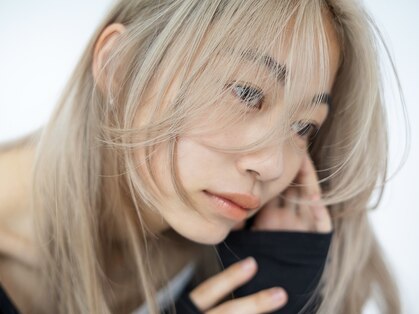 ベチカ(vetica)の写真
