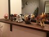 【★ご新規様限定★】オーガニックカラーカットトリートメント7700円！！