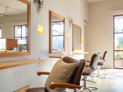 プリューム(plume)の写真