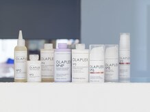 ファン(FAN)の雰囲気（大人気★効果は折り紙付きのolaplex商品も置いてます！）