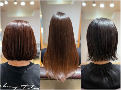 セーアーペー(Se.a.pe)の写真