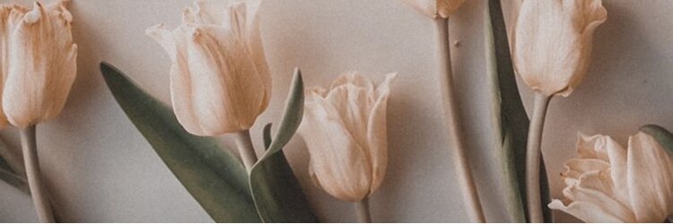 エンタリティリット(entality lit)のサロンヘッダー