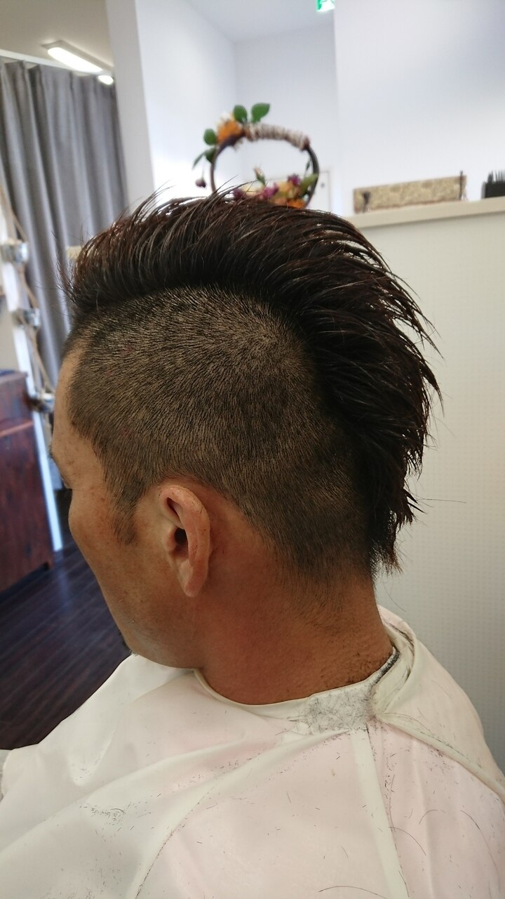 ドングリ坊主 新作】ハイパーポットクリエイター 