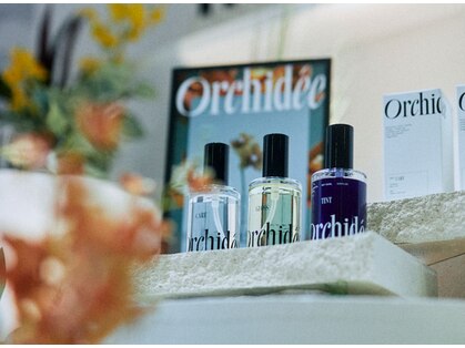 シュア(sure)の写真