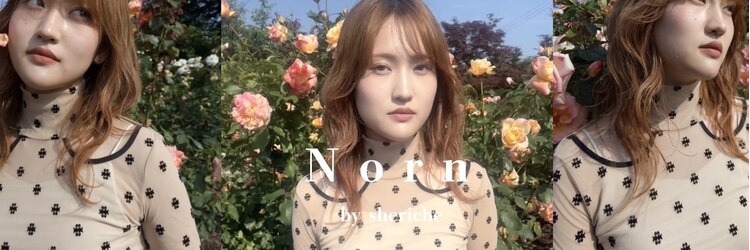 ノルン バイ シェリッシュ(Norn by sheriche)のサロンヘッダー