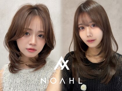 ノアル(NOAHL)の写真