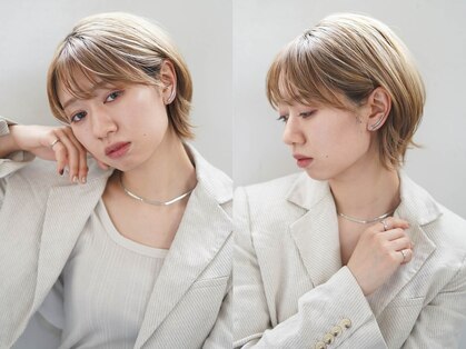 クーシ(kuusi)の写真