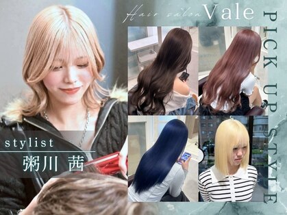 ベール(Vale)の写真