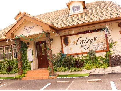フェアリーヘア(fairy hair)の写真