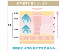 【ピーリング2】理想の肌サイクルは２８日周期！